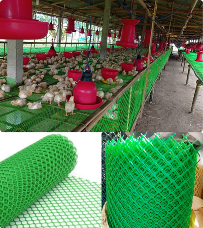 Poultry Farm Net