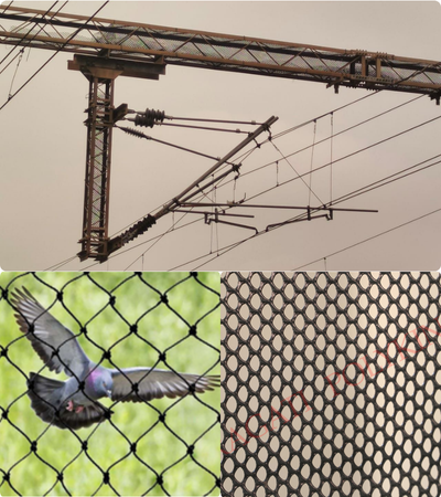 Anti-bird Net