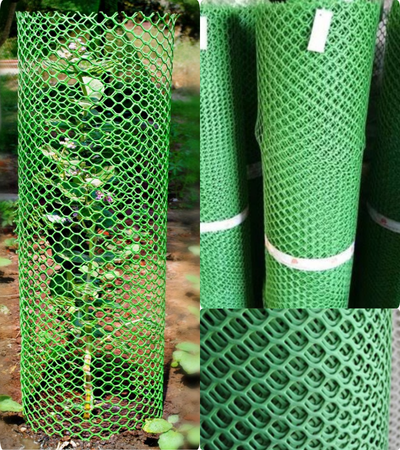 Hexagonal Type Tree Guard